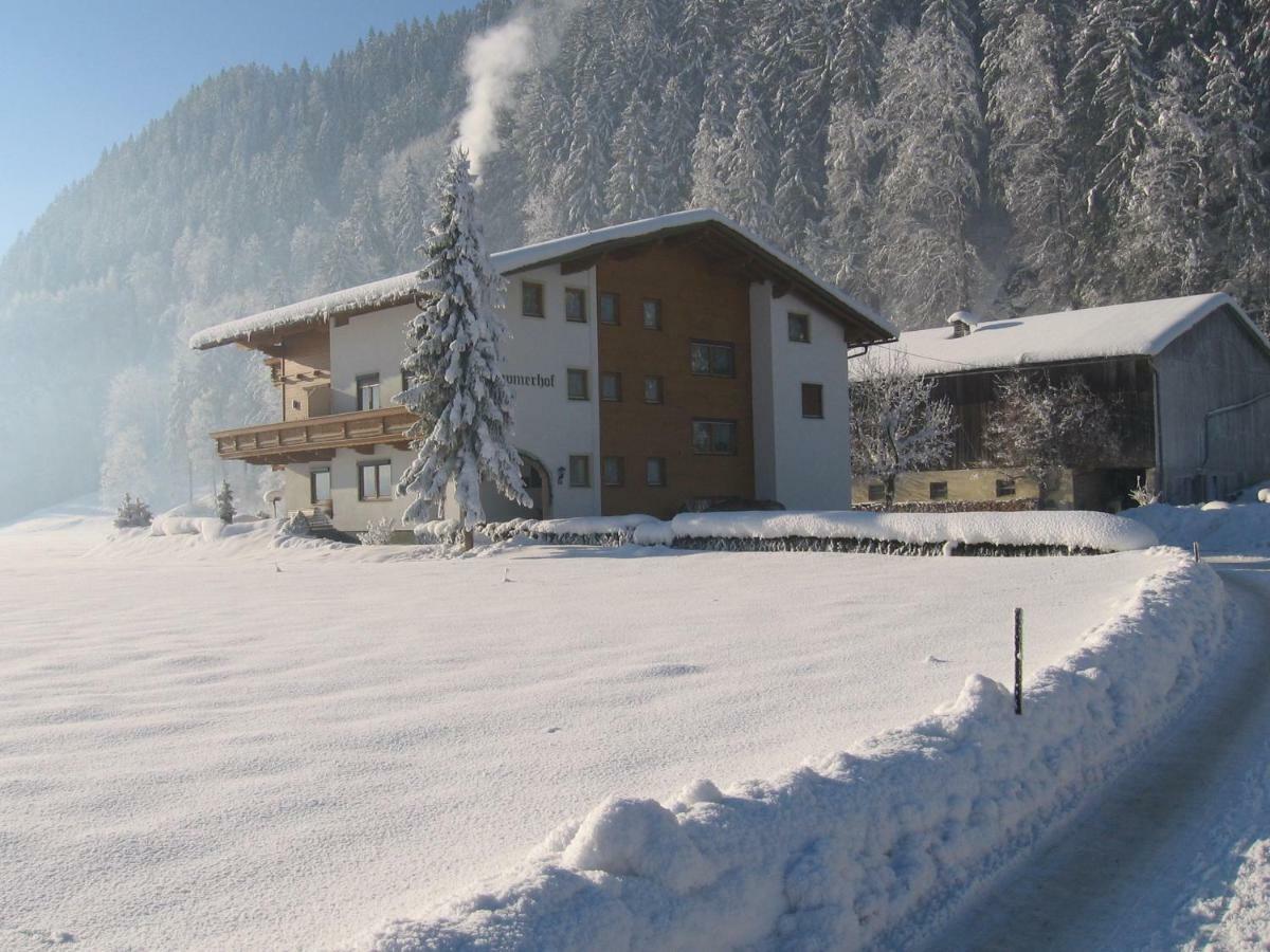 Appartamento Lippnerhof Aschau Im Zillertal Esterno foto